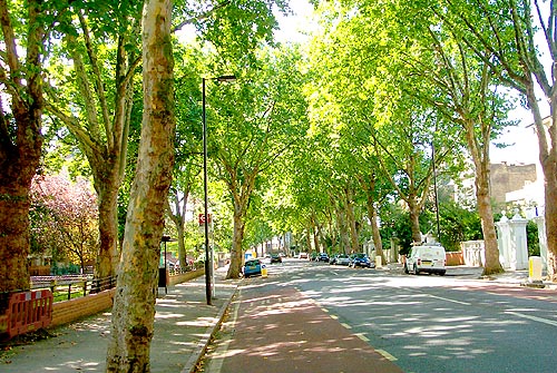 Highbury New Park: Islington Property for sale